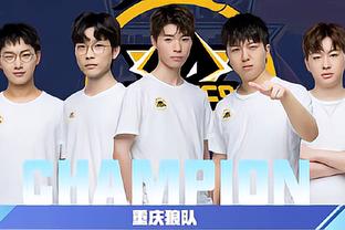 有被这粒点